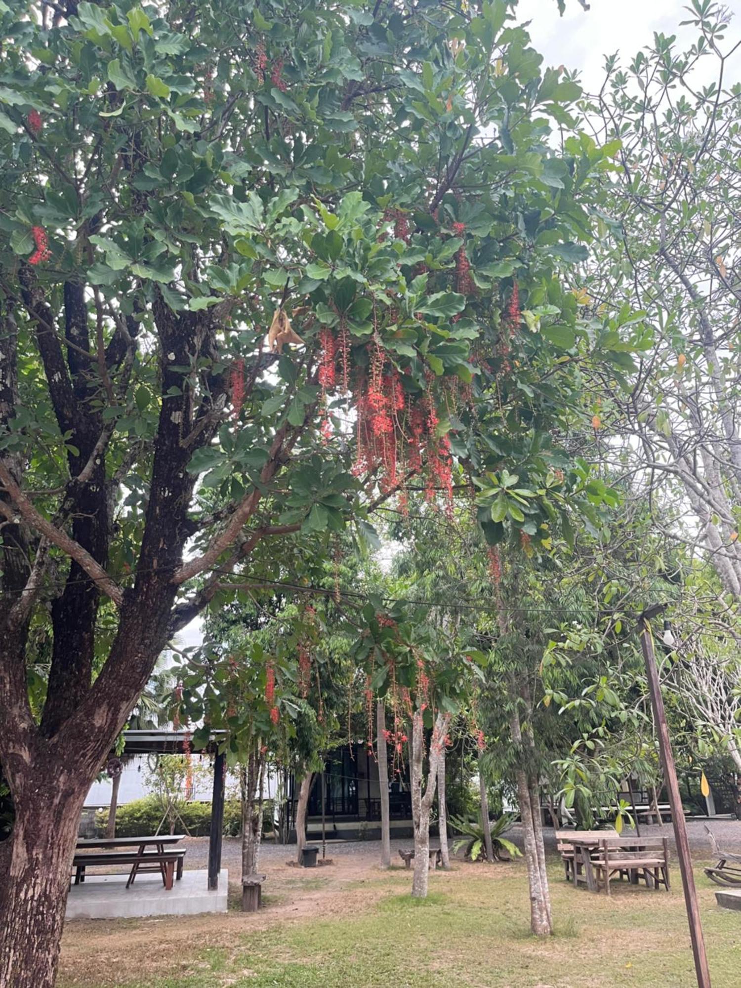 Sangkaset Resort Ban Mong Muang Exterior photo